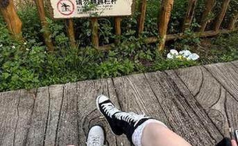 91吃瓜网出口与入口的迷人关系，八卦中心暗藏玄机？