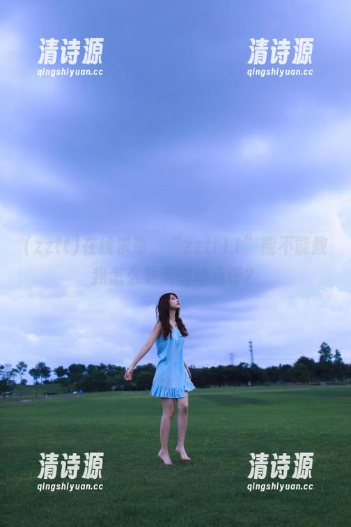 在线求助,“zztt11”能不能教我怎么更无情地点评? 在线求助,“zztt11”能不能教我怎么更无情地点评?