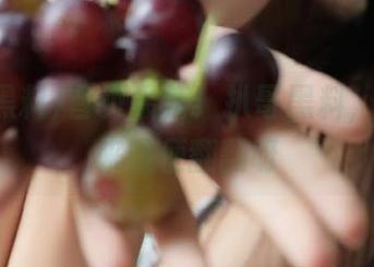 首页最新！扒哥黑料，想看就来随便翻翻呀