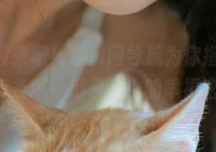 来吧！黑料网导航为你指路，app里每条瓜可都是小小的幸福密码。